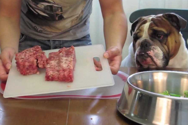 How Much to Feed Your Dog on a Raw Diet