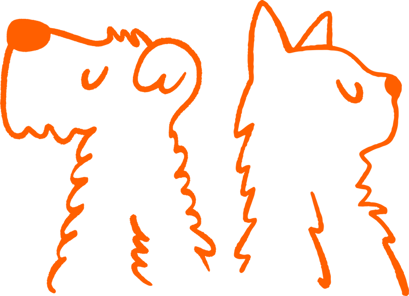 Mrs Meady's dog and cat