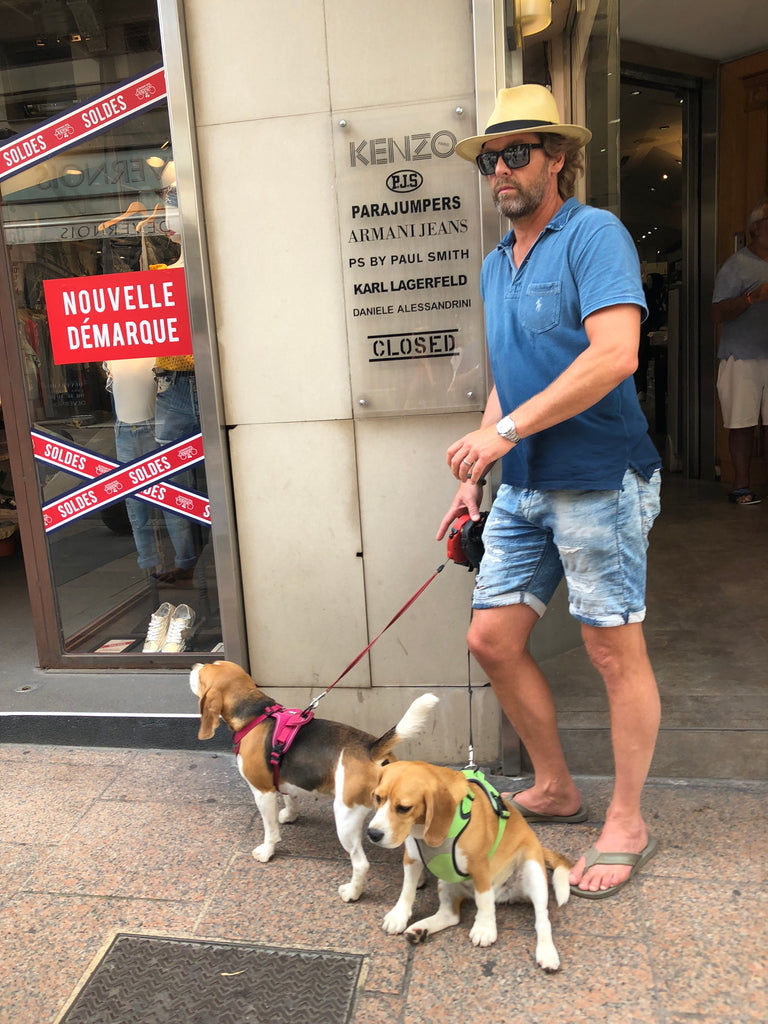 Dog Friendly in France