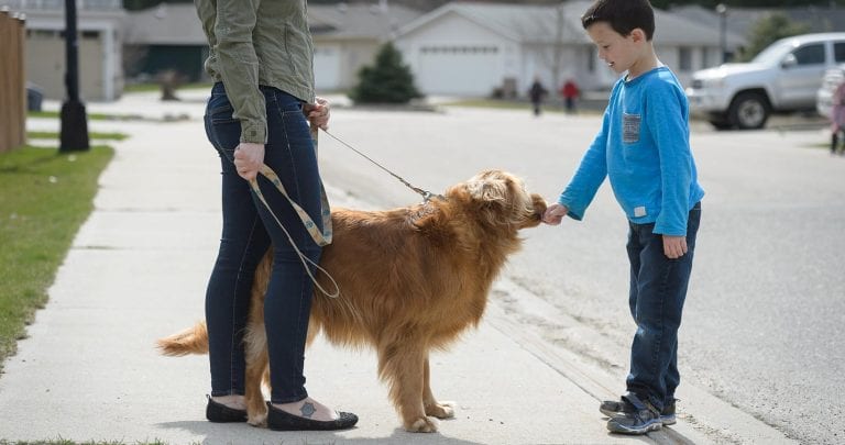 Dog Walking Helps You Know Your Neighbors