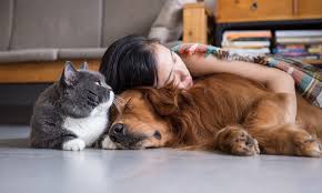 girl sleeping with cat and dog