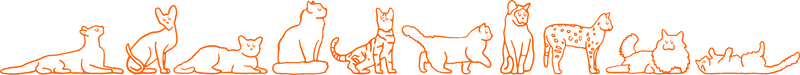 Cat Intro Pack
