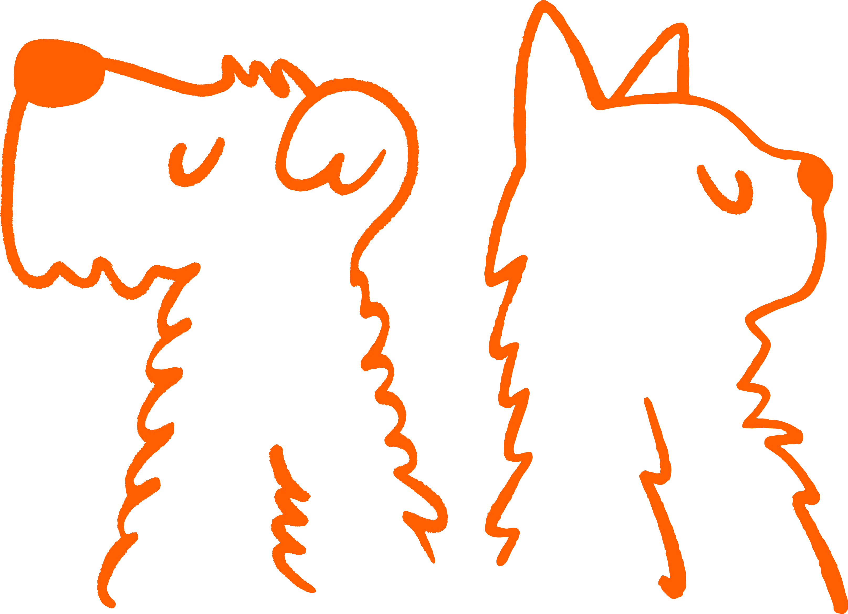 Mrs Meady's dog and cat