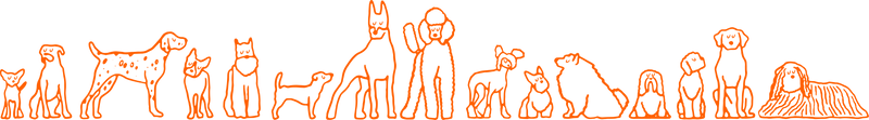 Dog Intro Pack