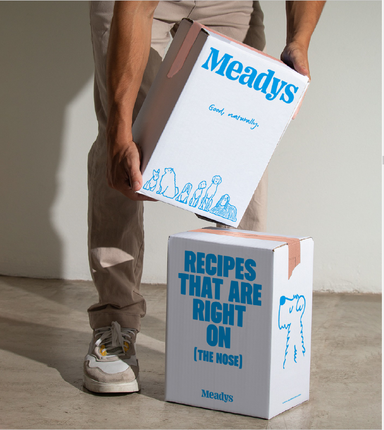 A courier setting down a white Meady's delivery box printed with blue dog and cat illustrations, stacked on a second box